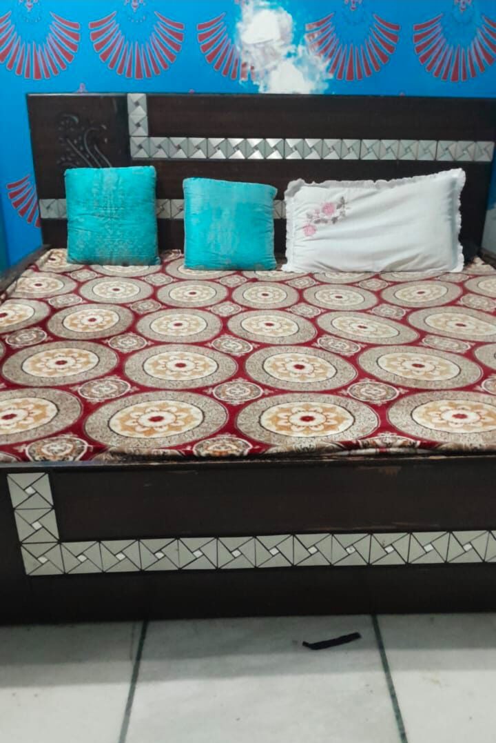 Dewan cum bed - Image 2